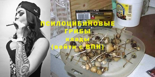 прущие крисы Алзамай